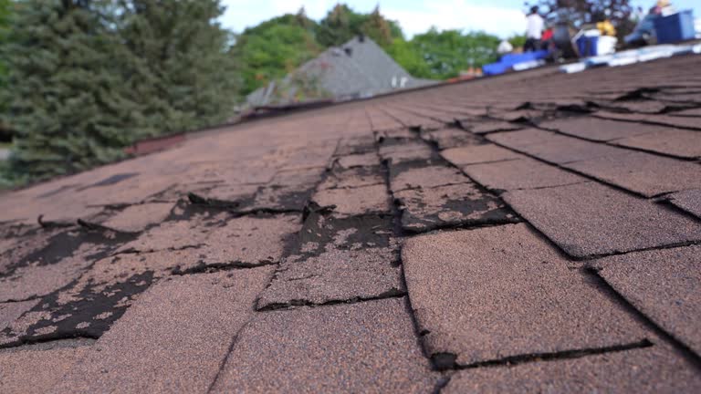Best 4 Ply Roofing  in Creola, AL